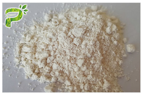 Pasta Gigi Enzim Papain Tanaman Ekstrak Bubuk CAS 9001-73-4 Putih Ke Kuning Muda